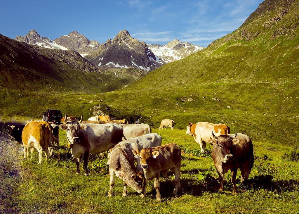 Alpenpension Maderer Gaschurn Exterior photo